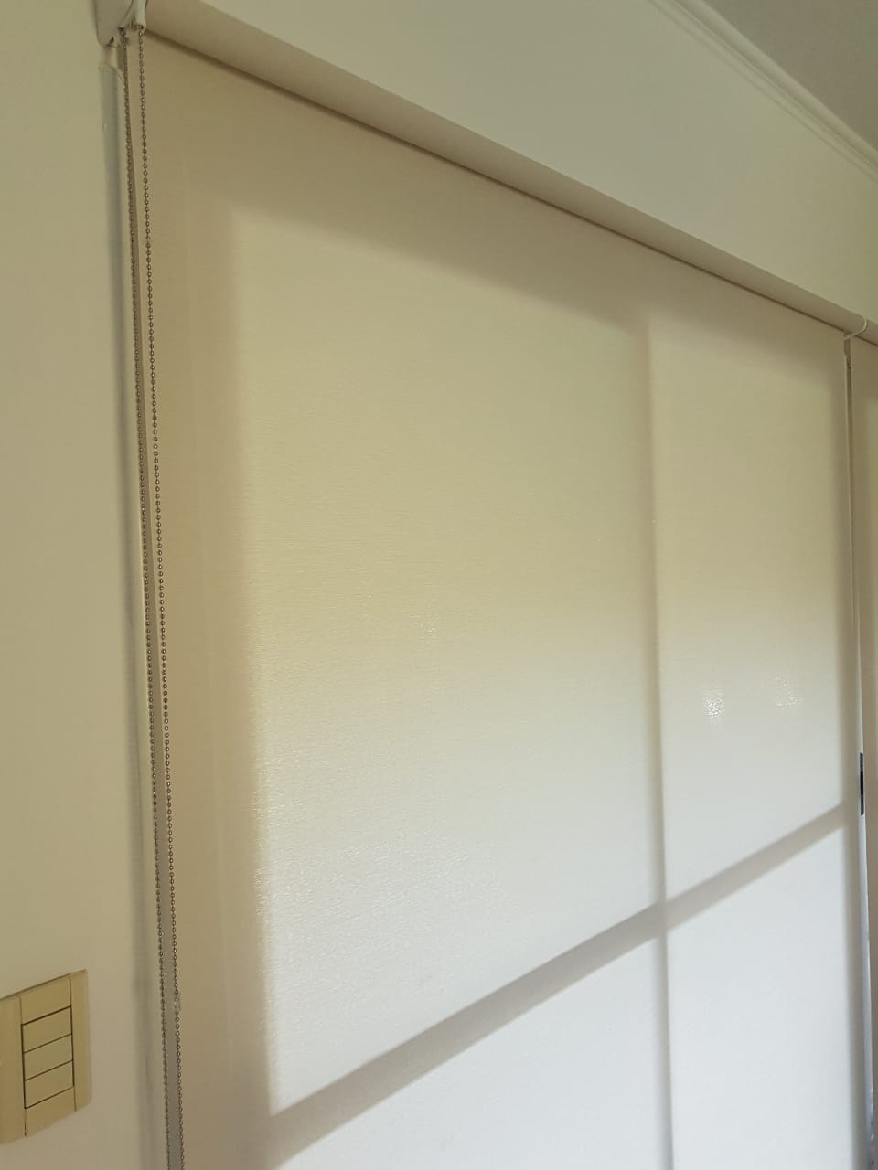 –patagonia crudo–