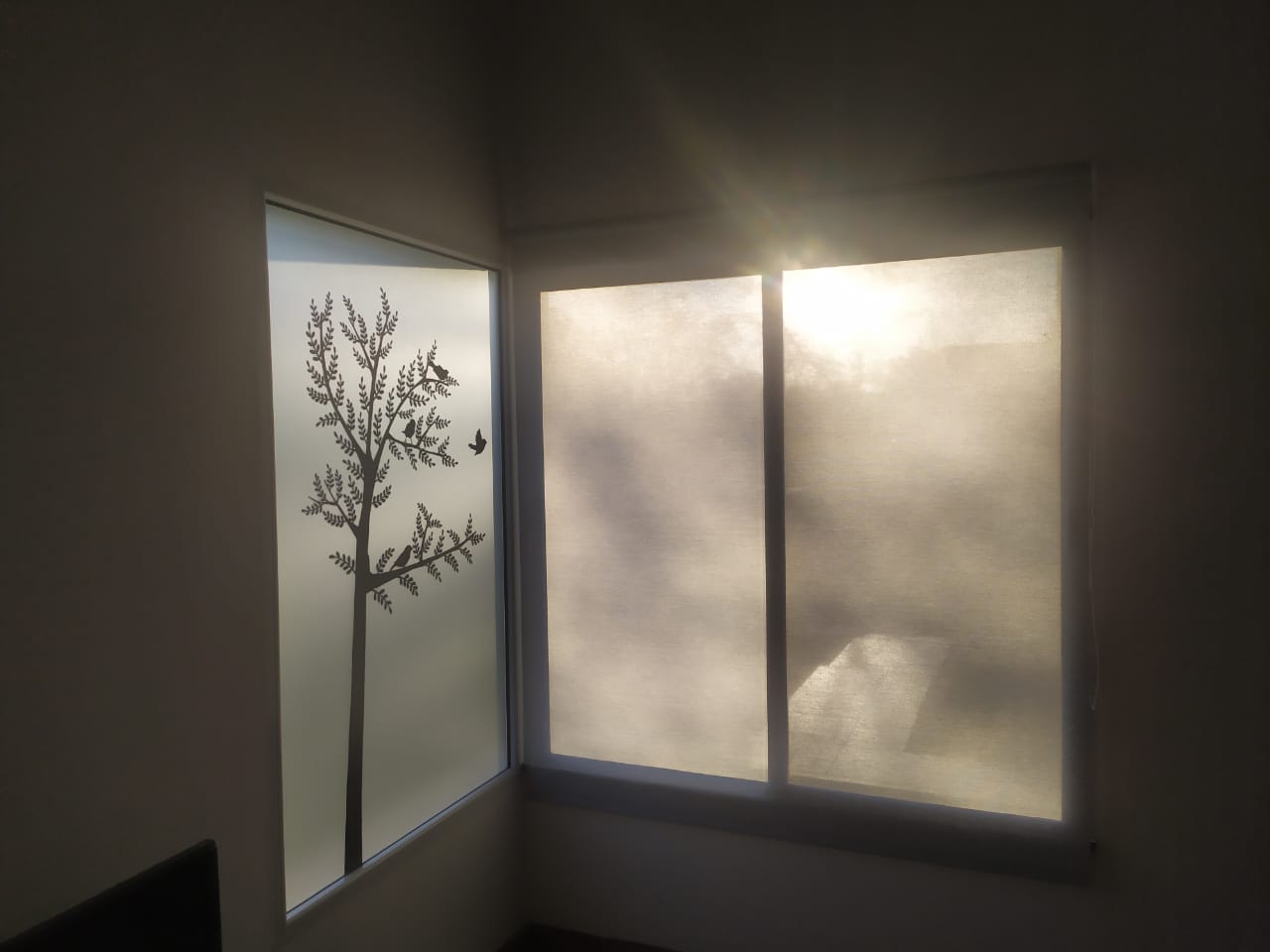 patagonia gris claro .-,