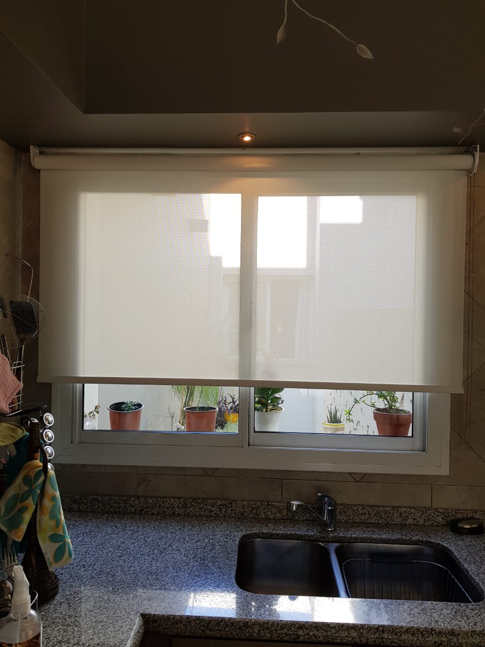 screen 5_ blanco2